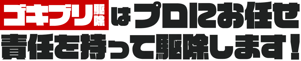 危険なハチに刺される前に速攻退治!! ハチ・蜂の巣被害を迅速に解決!!
